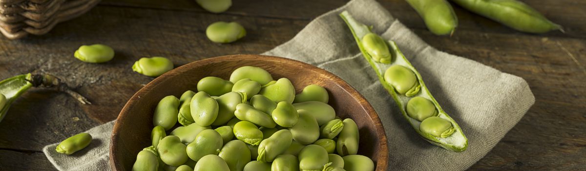 IQF Frozen Broad Beans