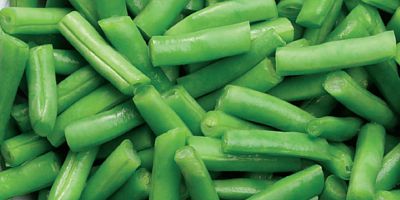 IQF frozen green beans cut 