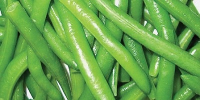 IQF frozen green beans whole 